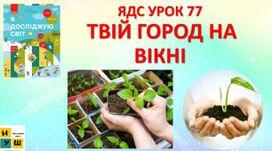 Презентація Бібік ЯДС УРОК 77  ТВІЙ ГОРОД НА ВІКНІ  (для очного та дистанційного навчання )