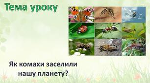 Як комахи заселили нашу планету?