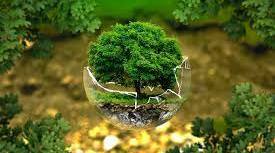 First Conditional. Nature and Environment
