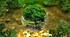 First Conditional. Nature and Environment