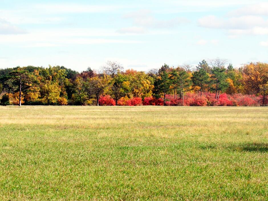0402029q-9228-940x705.jpg