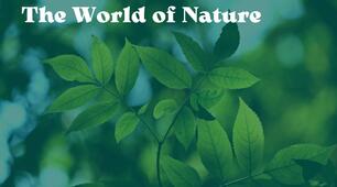 Karpiuk 4 "The World of Nature" Review Lessons 4-6