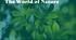 Karpiuk 4 "The World of Nature" Review Lessons 4-6