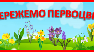 Постер для оформлення дошки "Збережемо первоцвіти"