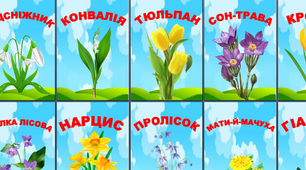 Наочний матеріал  з я досліджую світ "Первоцвіти"