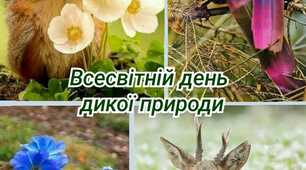 3 березня - Всесвітній день дикої природи..