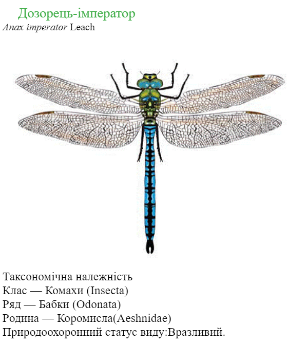 040207r5-f581-598x670.png