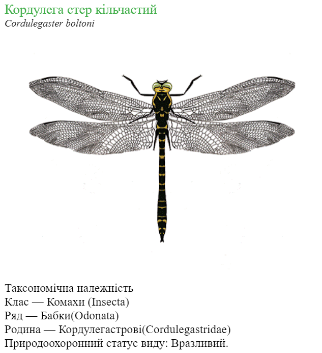040207rf-8df9-633x692.png
