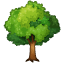 🌳