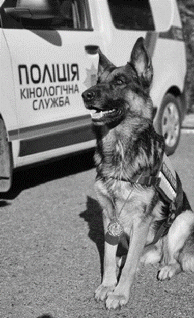 04020883-28fd-387x633.png