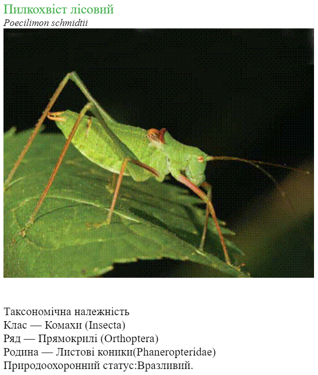 04020906-4fdf-639x752.png