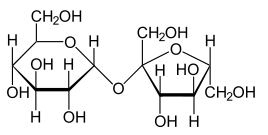 040209sn-1989-268x135.png