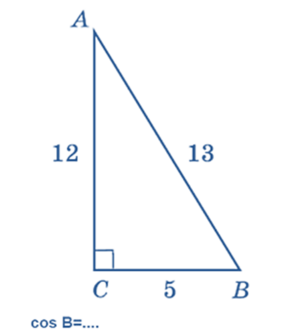 04020cef-63db-344x395.png