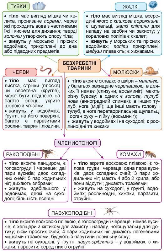 04020f7p-c98f-523x803.jpg