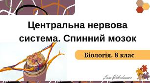 Центральна нервова система. Спинний мозок. Презентація. Біологія. 8 клас.
