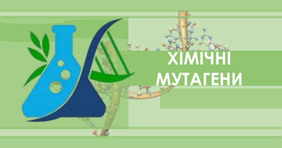 Презентація на тему "Хімічні мутагени" | Презентація. Біографія