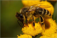 04020k3y-4e14-197x131.jpg