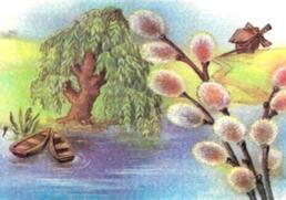 04020l79-4725-258x181.jpg