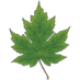 04020ltp-ed72-73x73.png