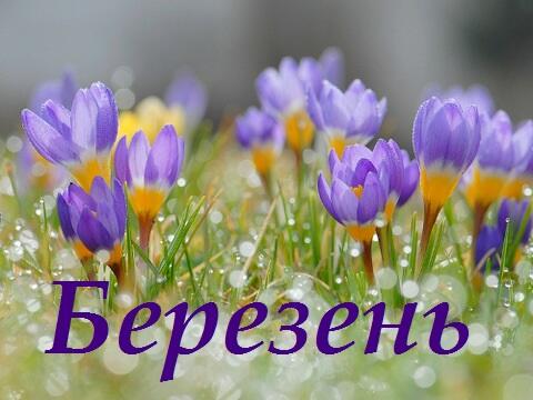 Возможно, это изображение цветок и текст