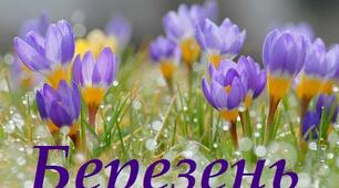 На охриплих вітрах я, мов птах,  Що без пір'я у небо злітає.