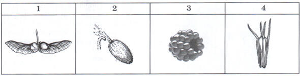 04020nc7-b9a5-590x150.jpg