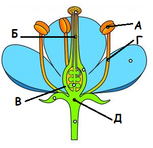 04020nd9-b3c2-299x290.png