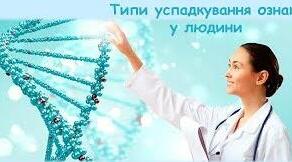 10 клас Типи успадкування ознак в людини