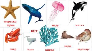 Дидактичний матеріал Картки Домана "Морські тварини"