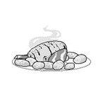 04020q07-7bd1-146x144.png