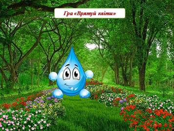 04020r6r-8485-356x267.jpg