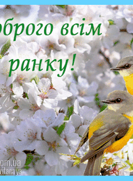 Доброго ранку всім! - картинки гіф анімація, листівки. | Postcard, Art  shop, Good morning