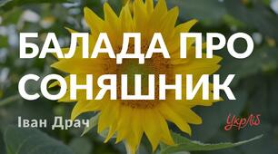 Творчість Івана Драча. «Балада про соняшник» .