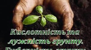 ПРезентація з геології, грунтознавства, агрономії  на тему "Кислотність та  лужність грунту. Буферність грунту"