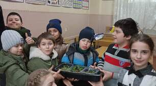 Город на підвіконні - МІКРОЗЕЛЕНЬ!