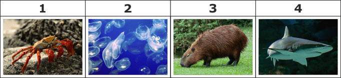 04020w6w-de47-682x156.png