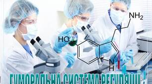 Презентація " ГУМОРАЛЬНА СИСТЕМА РЕГУЛЯЦІЇ"
