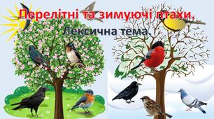 Перелітні та зимуючі птахи. Презентація (анімована) з медіафайлами.Дистанційне заняття для дошкільників з розвитку мовлення. Презентація. Перелітні та зимуючі птахи.