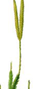 04020zbm-f83a-112x244.png