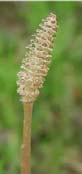 04020zc6-cff7-112x238.png