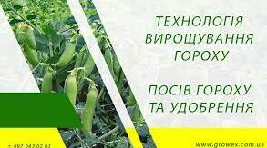 ПРЕЗЕНТАЦІЯ "Вирощування зернобобових культур. Система машин"