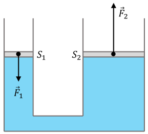04020zwo-c999-289x262.png
