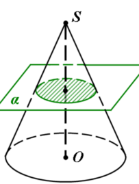 04020zym-5b1f-203x269.png