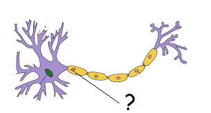 040210cf-7f0a-306x164.png