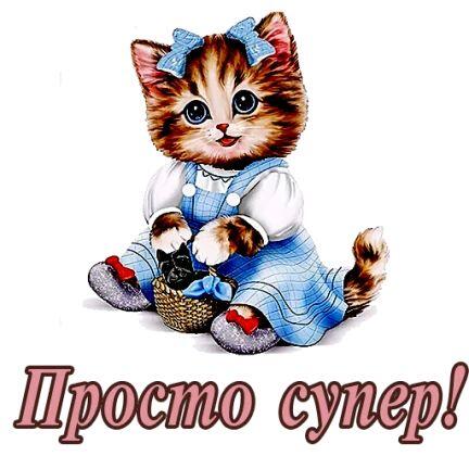 0402120t-5960-432x432.jpg