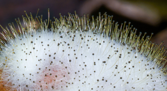 0402135m-f542-330x180.png