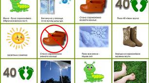 Презентація для проведення онлайн-заняття на тему «КОМАХИ»