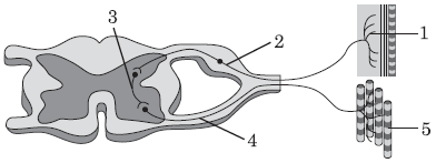 040215ta-6fa3-392x147.png