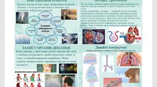Повітря і дихання людини. "Пізнаємо природу".  Презентація для  5 класу НУШ, за програмою та підручником Коршевнюк Т. В.