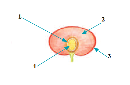 040216x9-0f2e-447x293.png